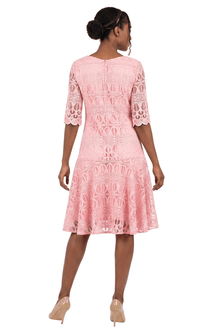 1pc Embroidery Lux Lace Pleated Flare Dress - Especially Yours