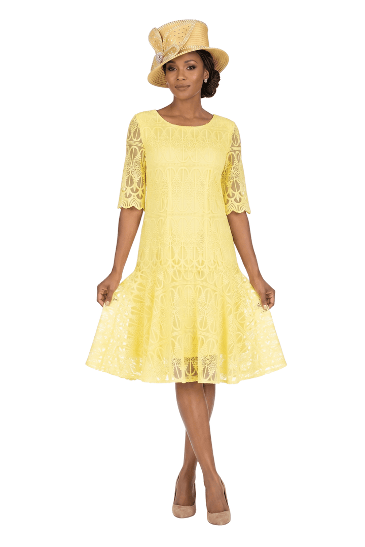 1pc Embroidery Lux Lace Pleated Flare Dress-Plus - Especially Yours