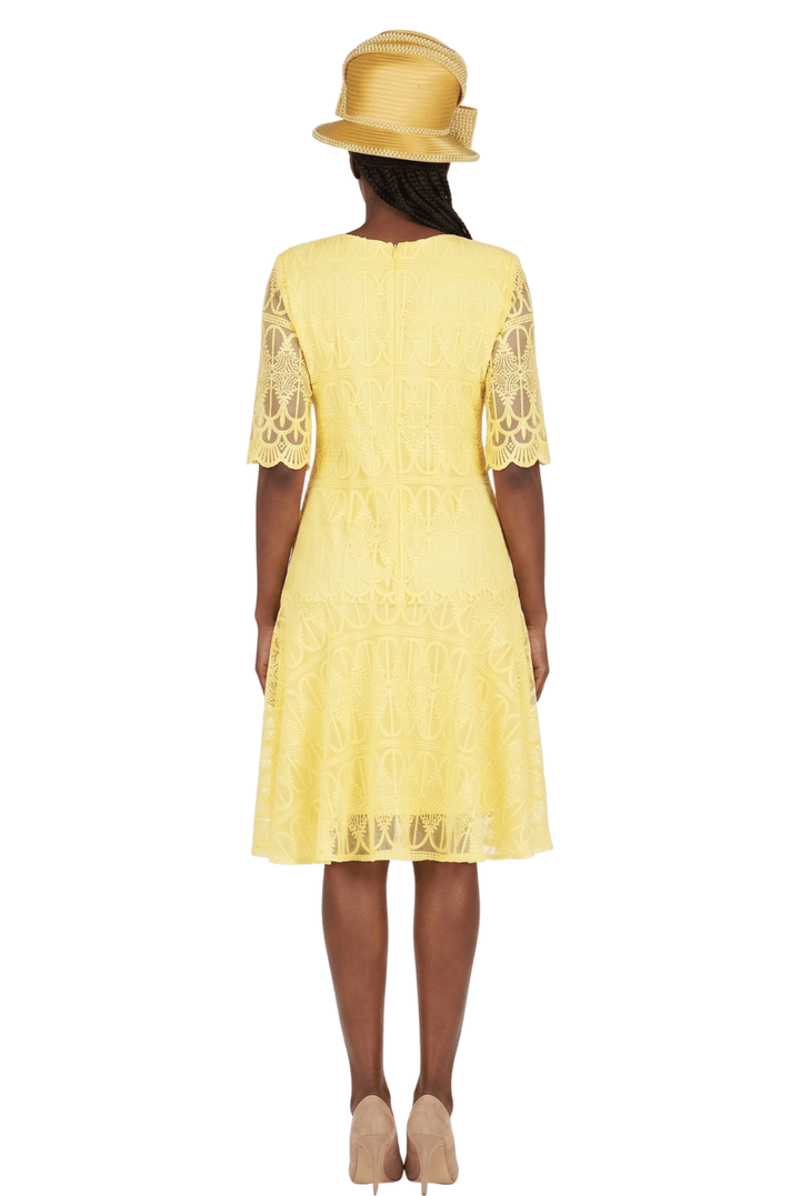 1pc Embroidery Lux Lace Pleated Flare Dress-Plus - Especially Yours