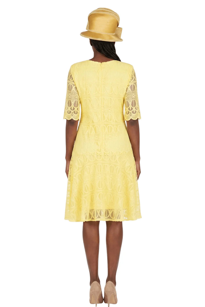 1pc Embroidery Lux Lace Pleated Flare Dress