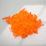 Orange BR07