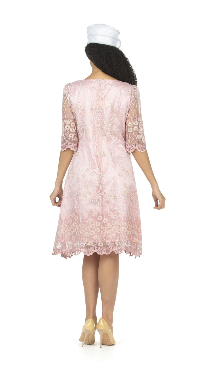 1pc Short Slv Lux Lace A-line Dress