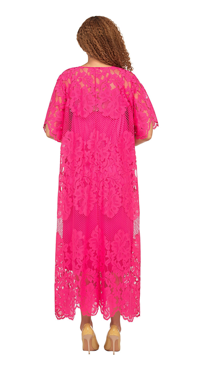 V-neck Short Slv Lace Dress w/ Slip