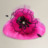 Fuchsia