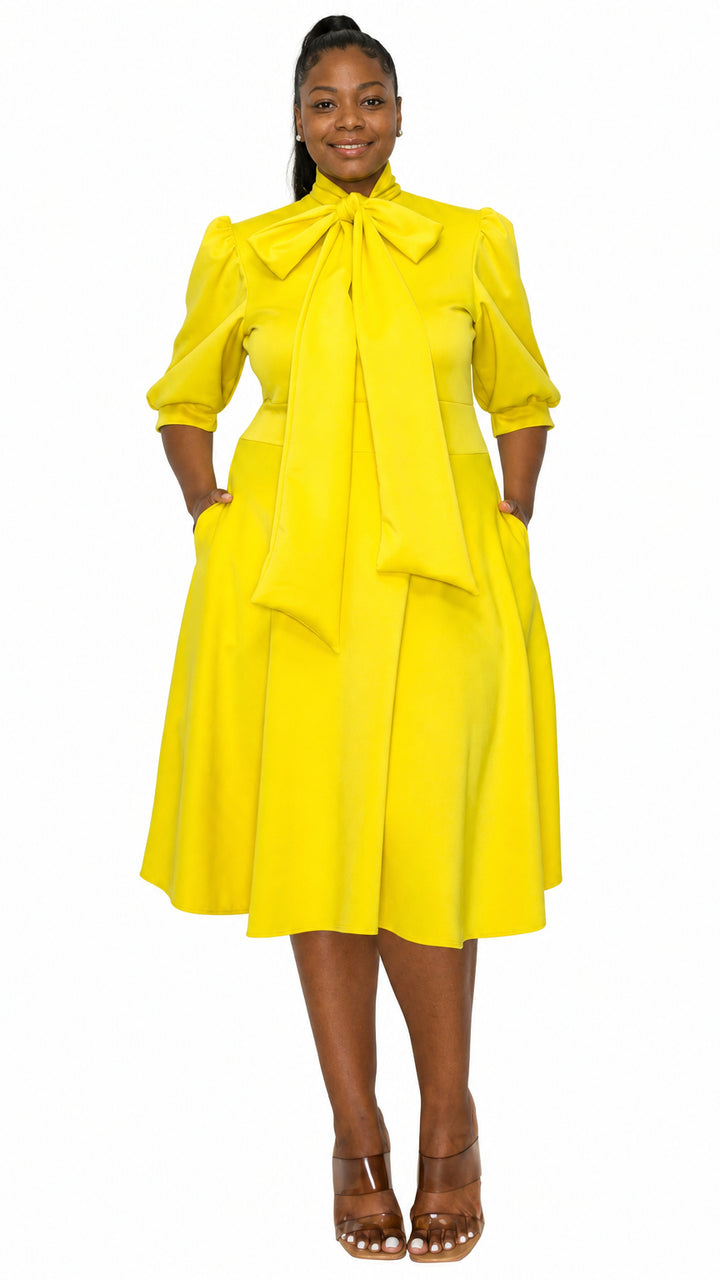 Carina Donna Flare Dress w/ Pockets