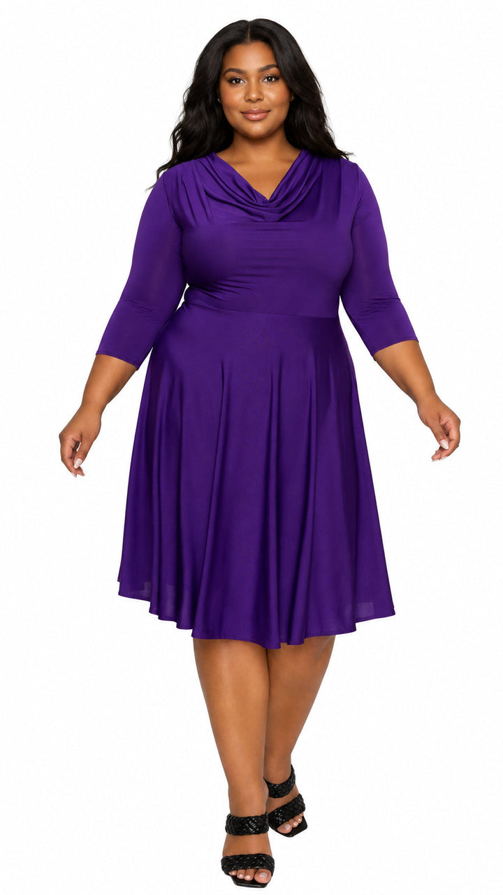 Amoretti Cowl Neck Flare Dress