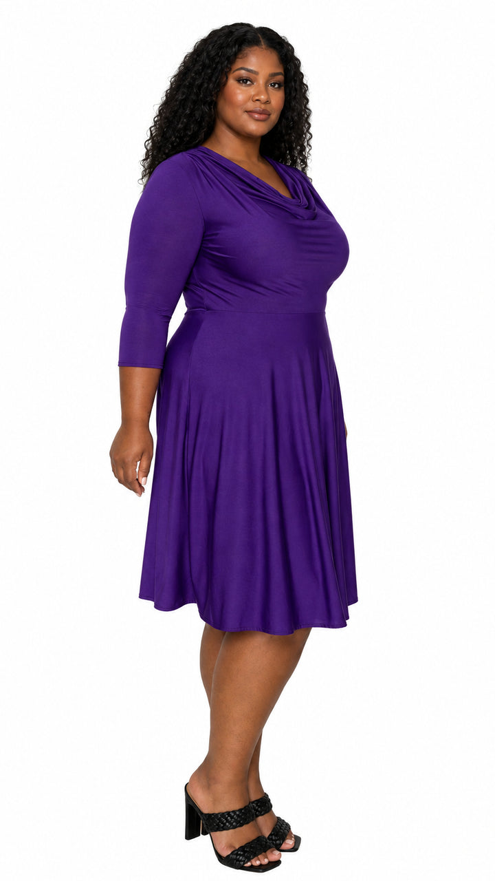 Amoretti Cowl Neck Flare Dress