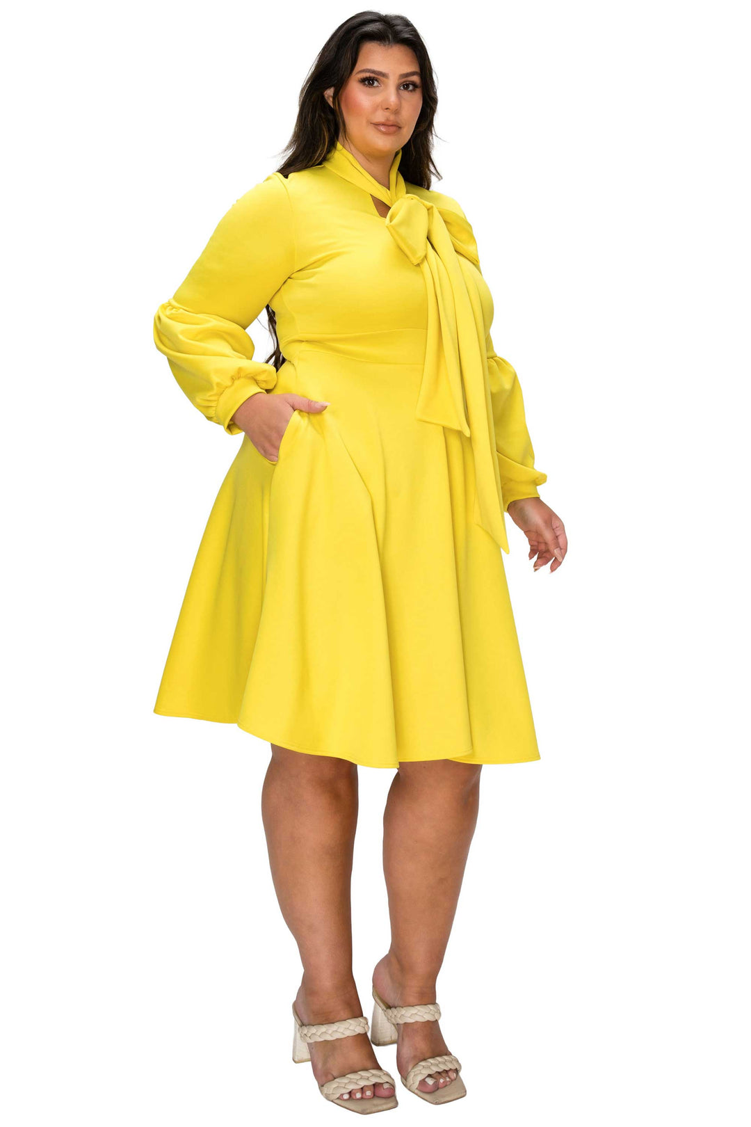 Bekah Flare Pocket Dress